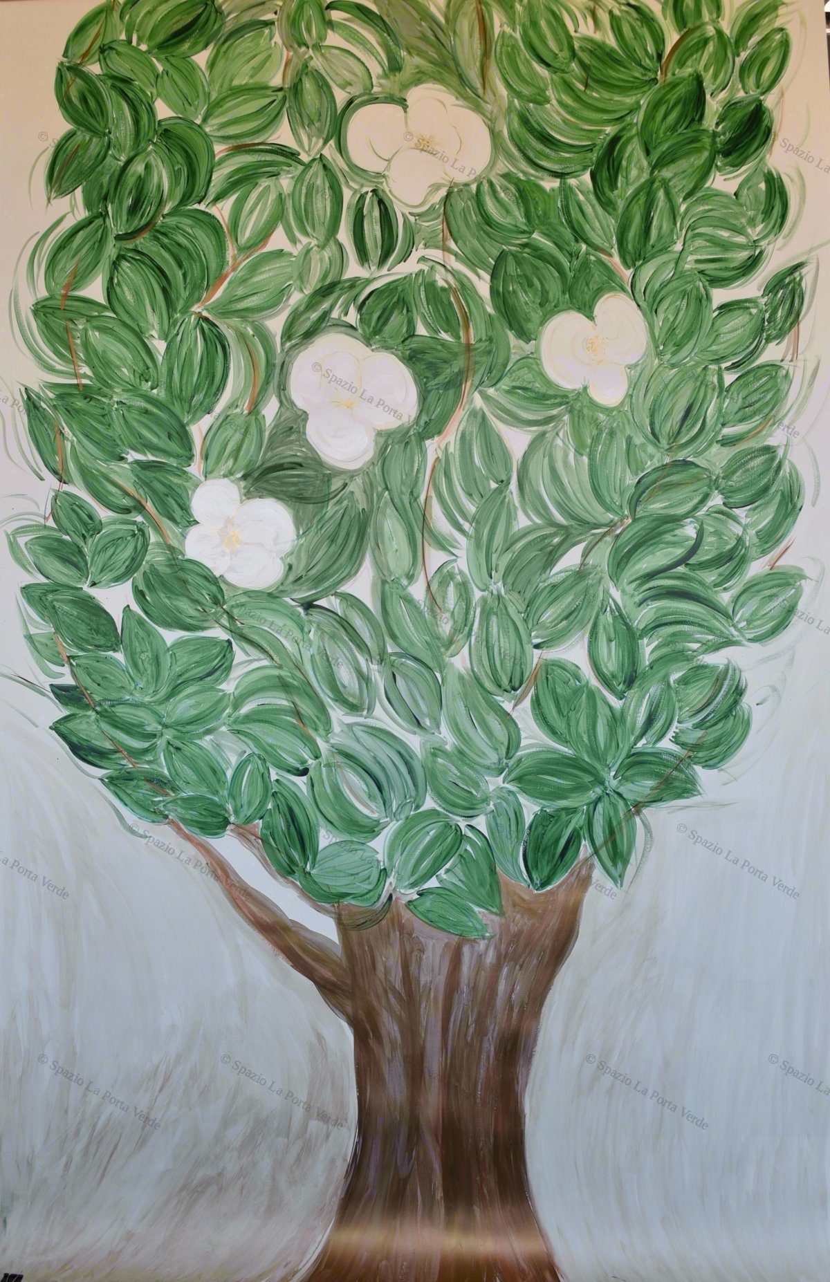 Magnolia