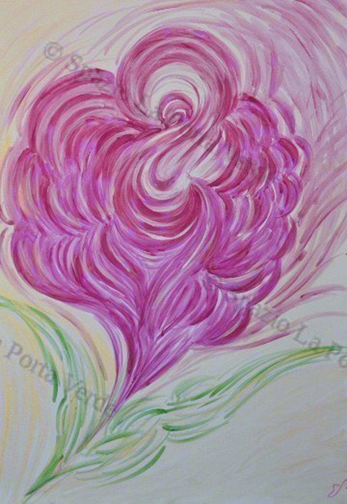 Fiore del conforto